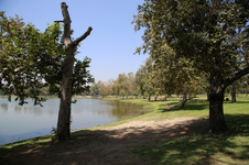 Enlarge photo 17