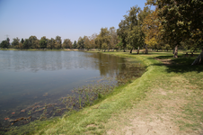 Enlarge photo 18