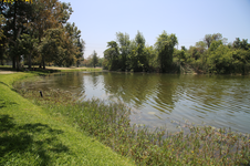 Enlarge photo 19