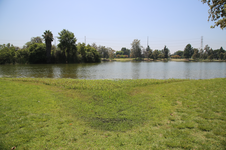 Enlarge photo 23