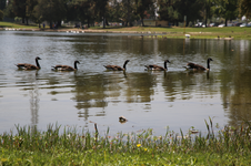 Enlarge photo 25