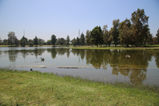 Enlarge photo 28