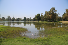 Enlarge photo 29