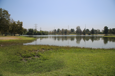 Enlarge photo 30