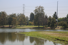 Enlarge photo 32