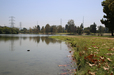 Enlarge photo 33