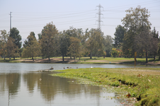 Enlarge photo 34