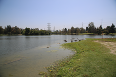 Enlarge photo 35