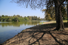 Enlarge photo 36