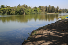 Enlarge photo 37