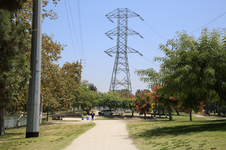 Enlarge photo 40