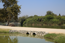 Enlarge photo 41