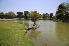 Enlarge photo 42