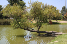 Enlarge photo 44