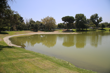 Enlarge photo 45