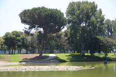 Enlarge photo 46