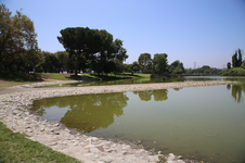 Enlarge photo 47