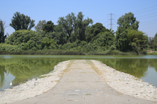 Enlarge photo 49