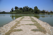 Enlarge photo 50