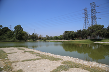 Enlarge photo 51