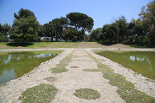 Enlarge photo 53
