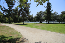 Enlarge photo 54