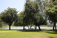 Enlarge photo 55