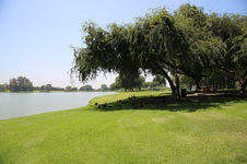 Enlarge photo 56