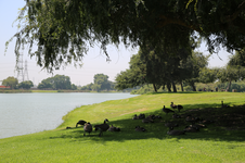 Enlarge photo 57