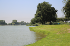 Enlarge photo 59