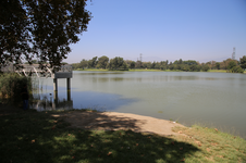 Enlarge photo 62