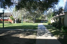 Enlarge photo 53