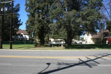 Enlarge photo 46