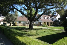 Enlarge photo 42