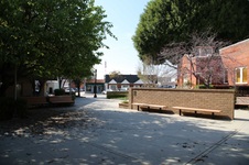 Enlarge photo 43