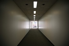 Enlarge photo 216