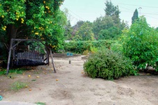 Enlarge photo 37