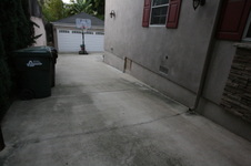 Enlarge photo 61