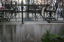 Enlarge photo 65