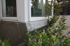 Enlarge photo 79