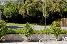 Enlarge photo 37