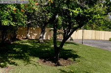 Enlarge photo 41