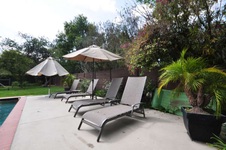 Enlarge photo 59