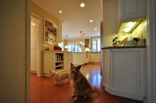 Enlarge photo 24