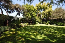 Enlarge photo 59