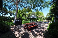 Enlarge photo 60