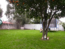 Enlarge photo 52