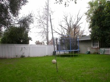 Enlarge photo 50