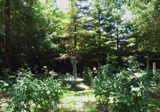 Enlarge photo 61
