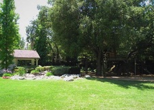 Enlarge photo 74